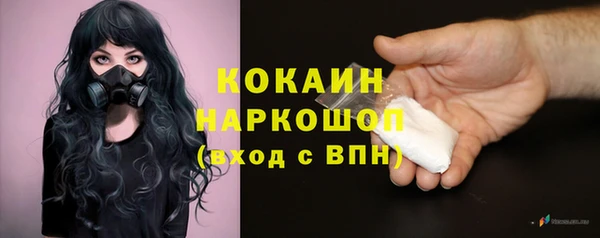 соль курить ск Бородино