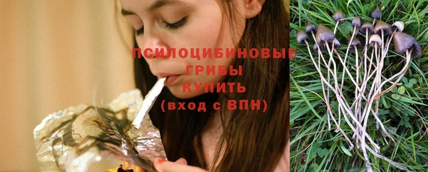 гидра Бугульма